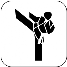 Icon Karate