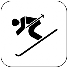 Icon Skifahren